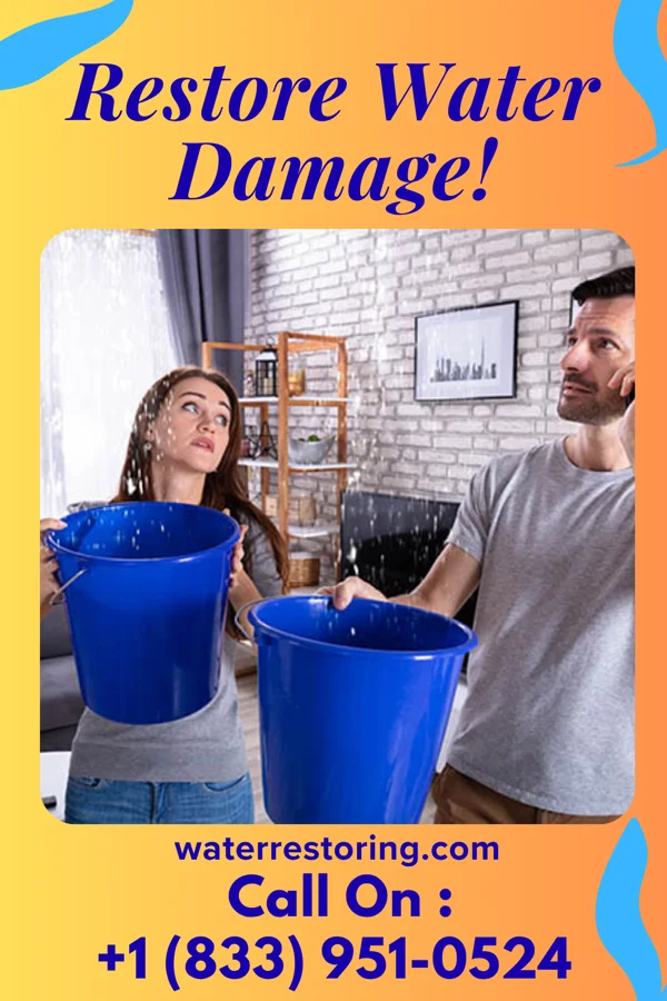 water restoration Sentinel Flood Cleanup Masters Ripley