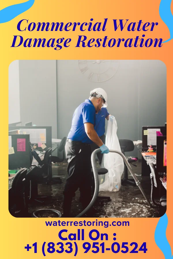 Commercial Water Damage Restoration in Ripley, WV