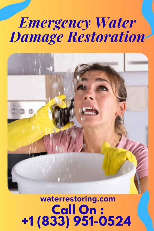 Emergency Water Damage Restoration in Ripley, WV