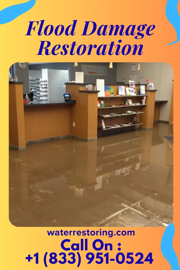 Flood Damage Restoration in Ripley, WV