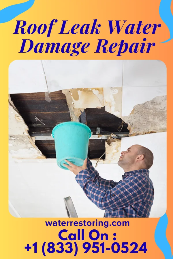 Roof Leak Water Damage Repair in Ripley, WV