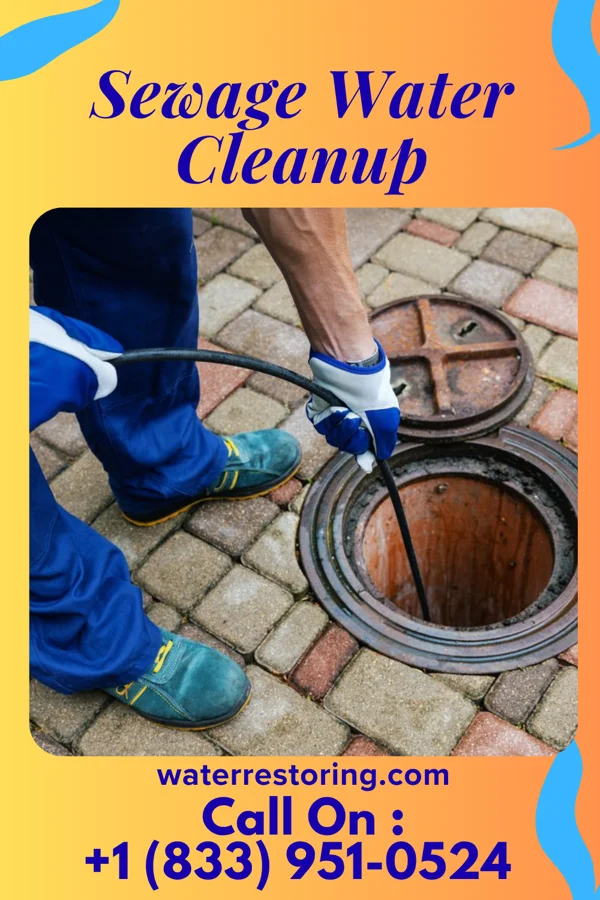 Sewage Water Cleanup in Ripley, WV
