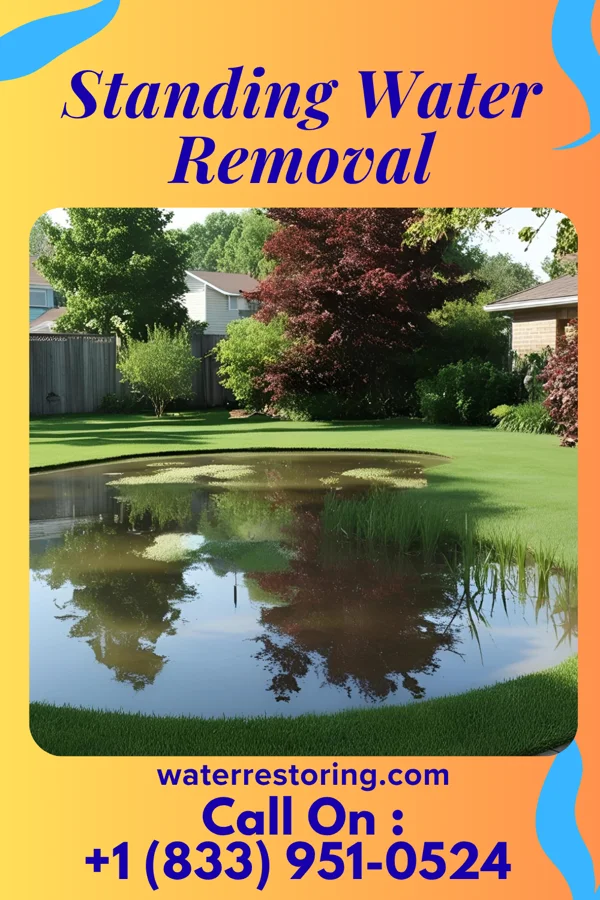 Standing Water Removal in Ripley, WV